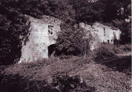 Mill 1984